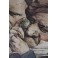 Deux gravures 'Les antiquaires' et 'Les amateurs de tableaux' Louis Boilly (1761-1845)