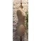 Mannequin de couture Stockman Siégel Haute Couture T. 44