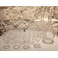 Service de verres et deux carafes en cristal gravé début 20ème siècle