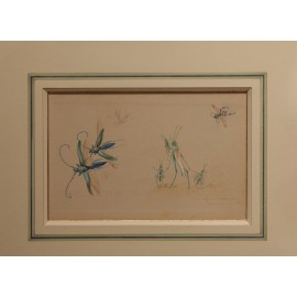 Études humoristiques représentant des insectes dessin gouaché 1910