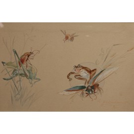 Étude humoristique 'Grenouille et insectes' dessin gouaché 1920
