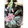 Vase monté en lampe fond noir et fleurs fin 19ème siècle