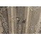 Éventail plié à 18 brins en nacre et dentelle décor peint aux oiseaux 1890-1900