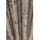 Éventail plié à 18 brins en nacre et dentelle décor peint aux oiseaux 1890-1900
