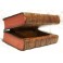 Boîte à l'imitation de livre contenant une boîte à musique Thorens vers 1930