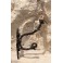 Patère en bronze patiné et verre fin 19ème siècle