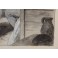 Dessin à l'encre et gouache 'La Visite' Édouard François Zier (1856-1924)