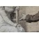 Dessin à l'encre et gouache 'La Visite' Édouard François Zier (1856-1924)