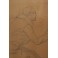 Dessin à la mine de plomb 'Homme à la redingote' Signé André Marchand 1900