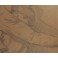 Dessin à la mine de plomb 'Homme à la barbe assis' signé André Marchand (1877-1951)