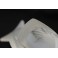 Sculpture Oiseau en verre satiné Lalique France