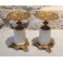Paire de cassolettes, vide poche, en bronze doré et marbre fin 19ème siècle