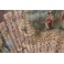 Éventail plié à 18 brin en corne blonde et scène galante peinte sur tissu fin 19ème, début 20ème siècle