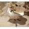 Coquillage nacré avec monture en bronze doré lézard et tiges végétales fin 19ème siècle