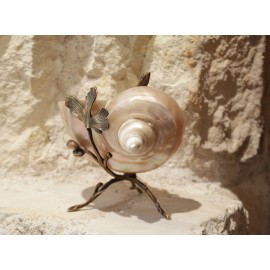 Coquillage nacr&eacute; monture en bronze dor&eacute; l&eacute;zard et tiges v&eacute;g&eacute;tales fin 19&egrave;me si&egrave;cle