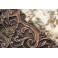 Miroir porte manteau en laitons repoussé décor de nymphes et rocaille fin 19ème siècle