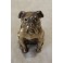Sculpture chien Bulldog signée Franjou pour Hippolyte Moreau (1832-1926)