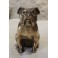 Sculpture chien Bulldog signée Franjou pour Hippolyte Moreau (1832-1926)