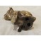 Sculpture chien Bulldog signée Franjou pour Hippolyte Moreau (1832-1926)