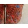 Éventail cocarde en bois laqué Chinois et papier de soie rose peint, fin 19ème siècle