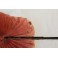 Éventail cocarde en bois laqué Chinois et papier de soie rose peint, fin 19ème siècle