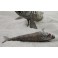 Deux poissons en métal argenté 1ère moitié du 20ème siècle