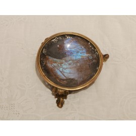 Vide-poche en verre avec ailes de papillons bleues monture en laiton, 1910-1930